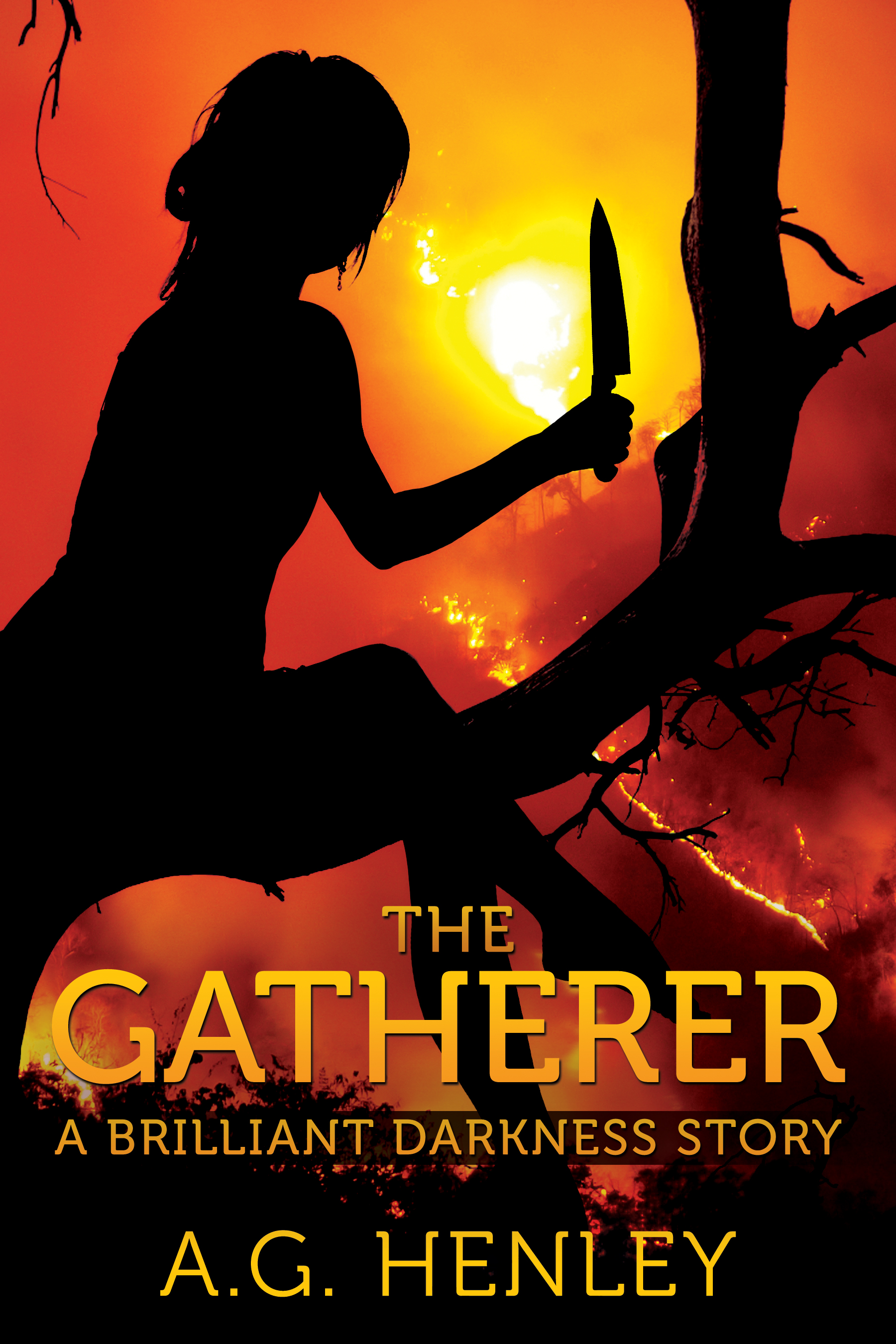 The Gatherer: A Brilliant Darkness Story (#2.5)
