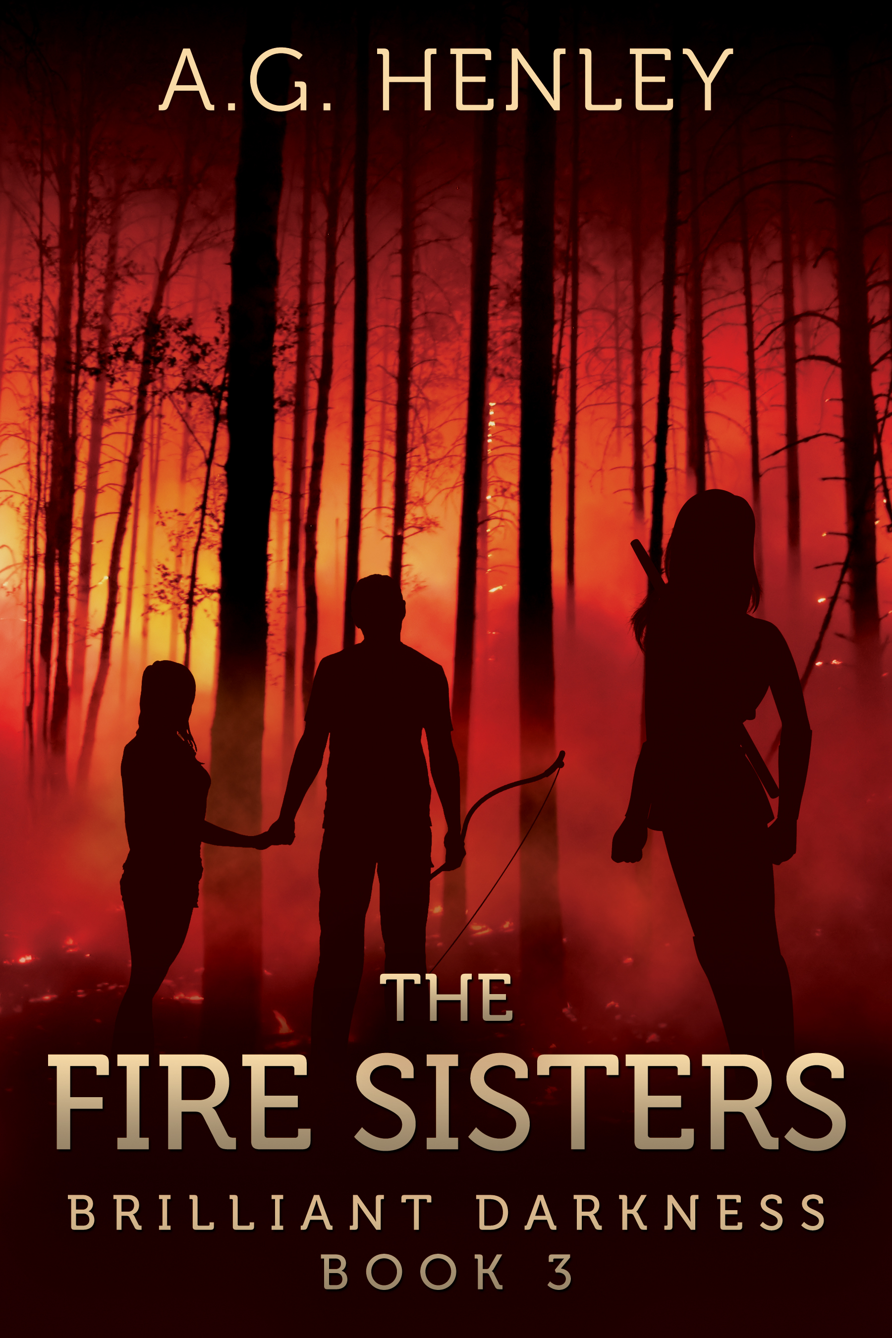 The Fire Sisters (Brilliant Darkness #3)
