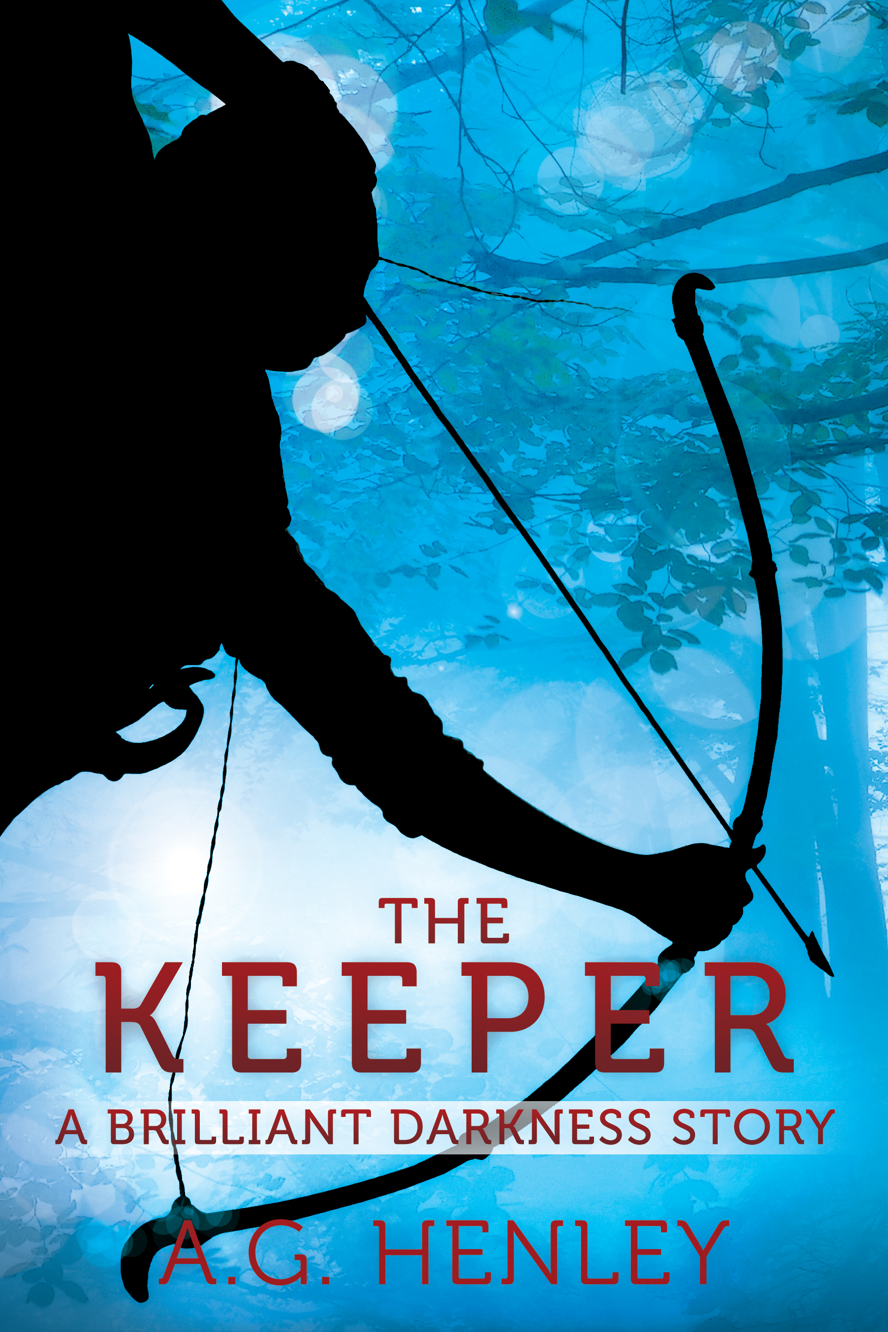 The Keeper: A Brilliant Darkness Story (#1.5)